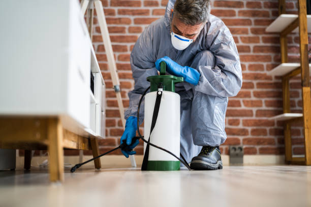 Professional Pest Control in Absecon, NJ